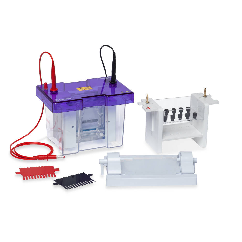 gel electrophoresis