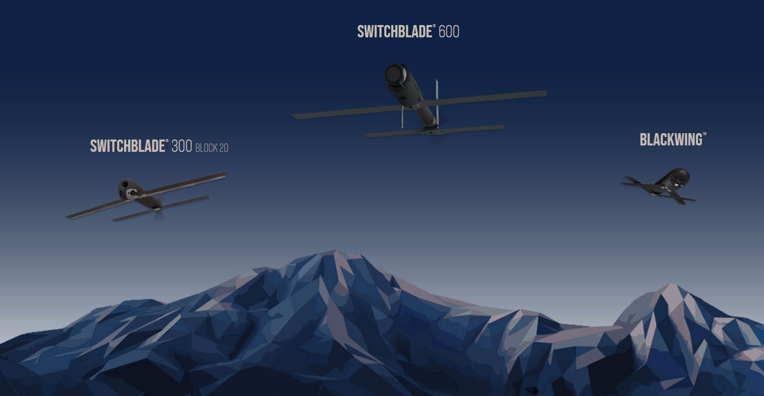 Loitering Munition Systems (LMS) (kamikaze drone)